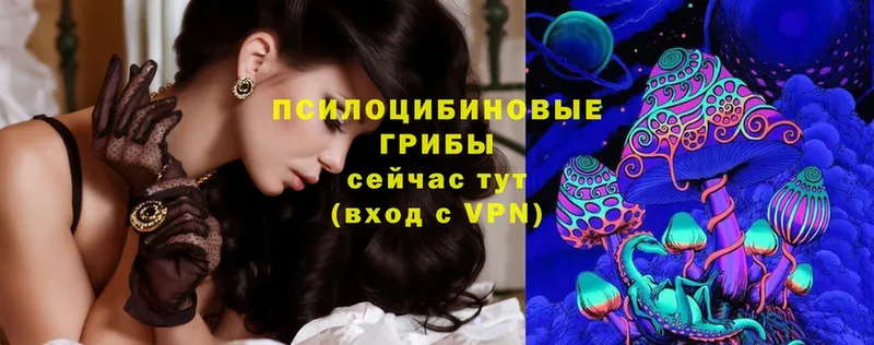 Галлюциногенные грибы Psilocybe  Борисоглебск 